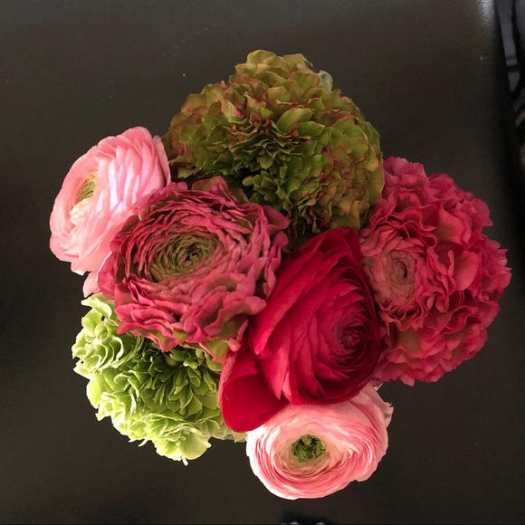 Meet your Posher, Jane - Picture 4 of 4